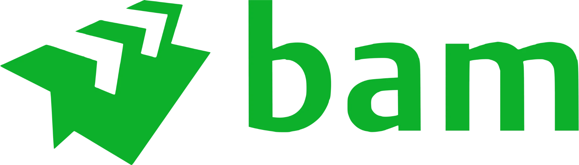 BAM